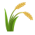 Leaf Icon
